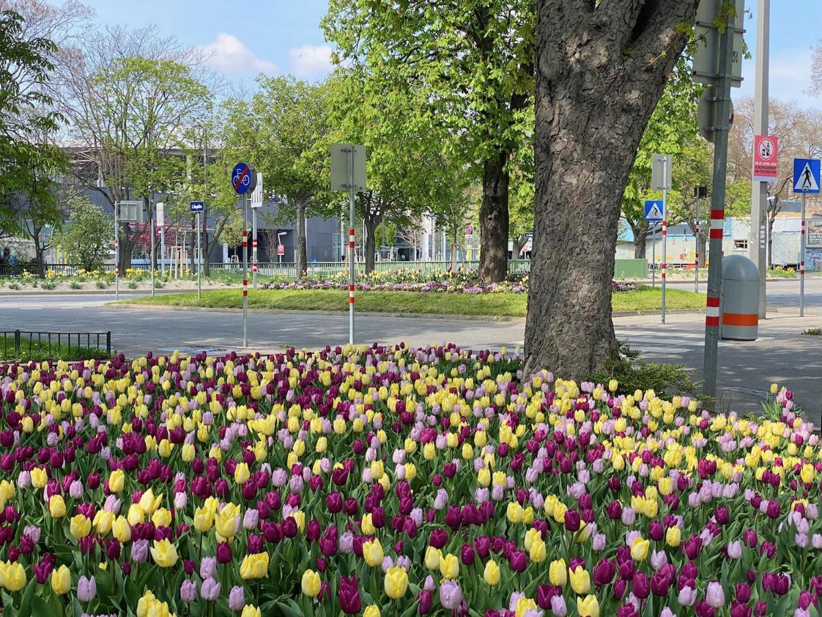 Magic Vienna Right Next To The Prater! Apartment Bagian luar foto